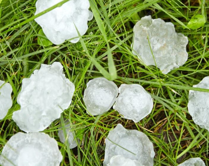 Large hail in the grass from a severe storm