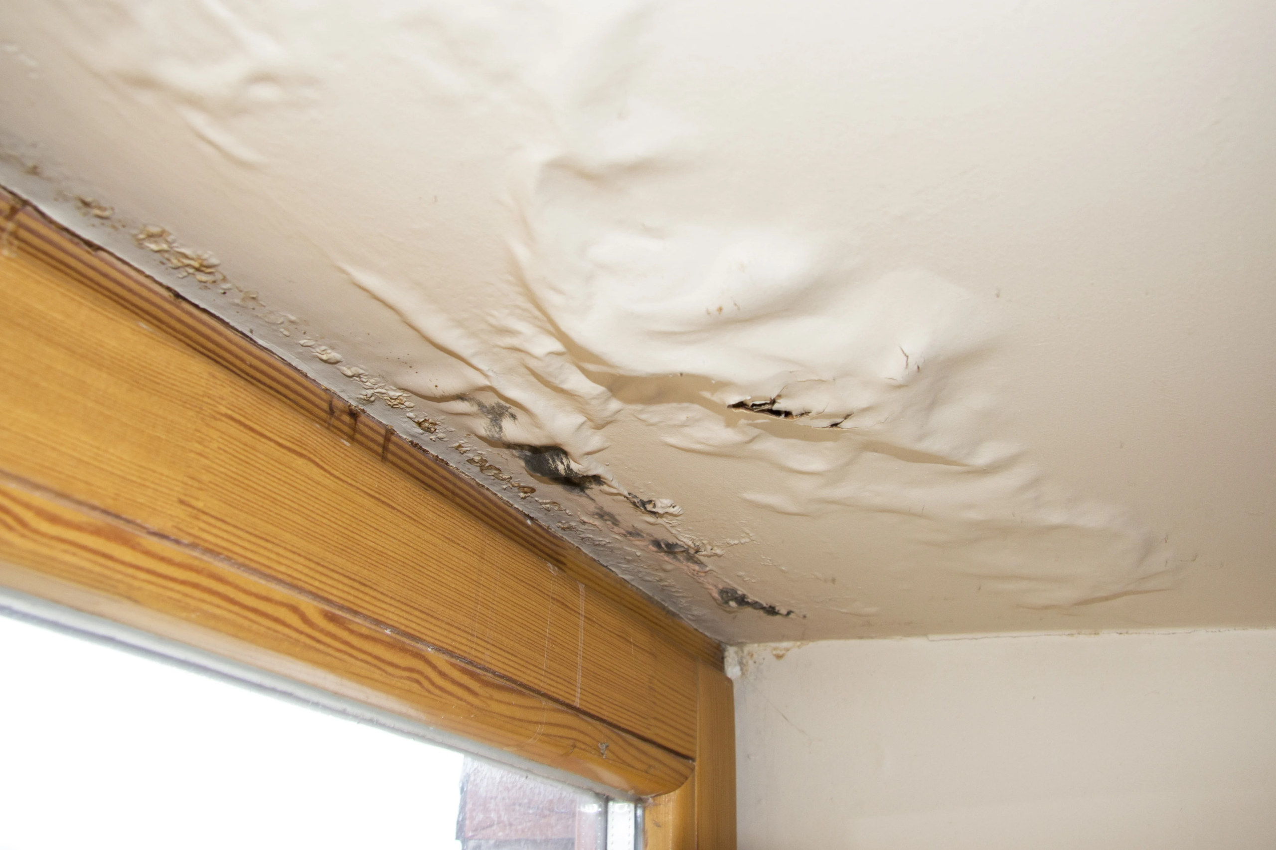 Water damage and ceiling paint bubbling above a window frame caused by roof or gutter leaks