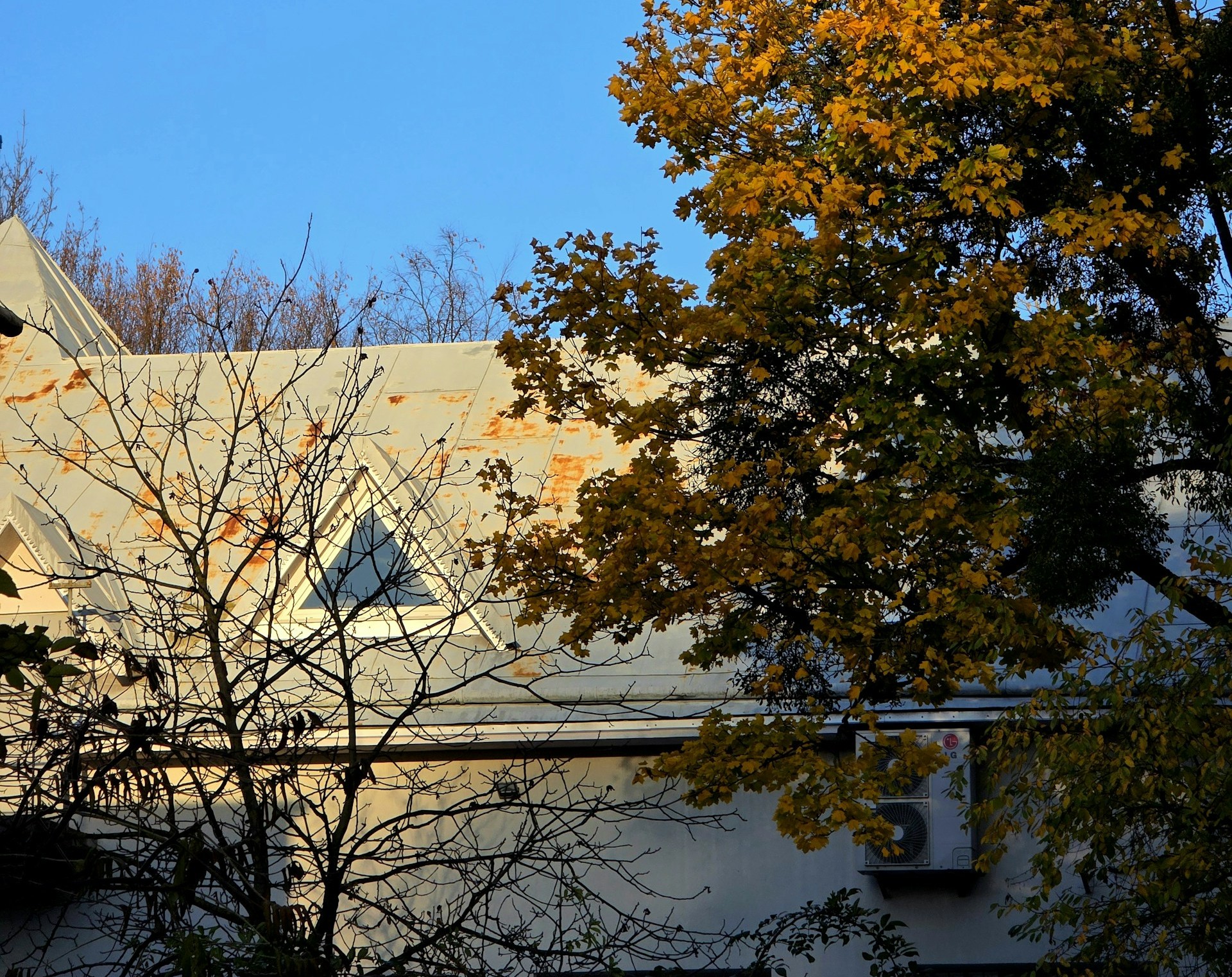 Roof showing signs of wear with peeling paint and autumn foliage, emphasizing the need for inspection and maintenance before winter in Kansas City.
